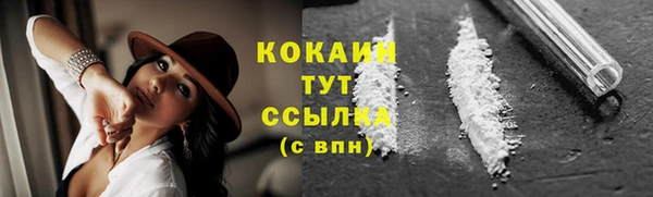 ГАЛЛЮЦИНОГЕННЫЕ ГРИБЫ Семёнов