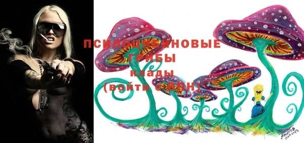 a pvp Белокуриха