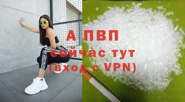 шишки Беломорск